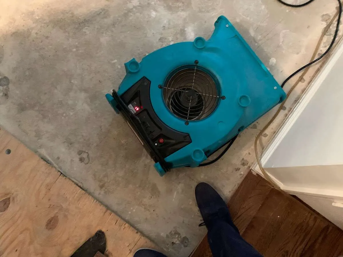 Air mover drying subfloor during Leak Detection & Repair in Charles City